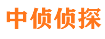 阳西寻人公司